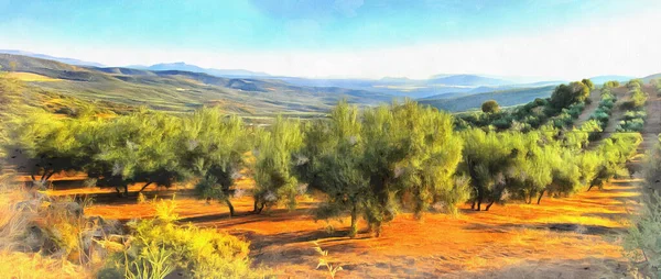 Krajina se starými olivami barevné malby vypadá jako obrázek, Andalusie, Španělsko. — Stock fotografie