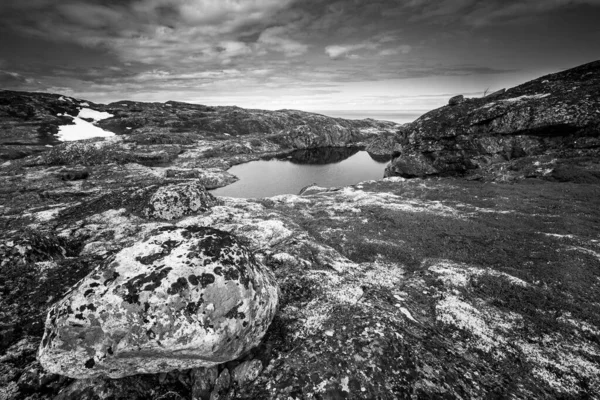 Linda paisagem de verão ártico na costa do mar de Barents. — Fotografia de Stock