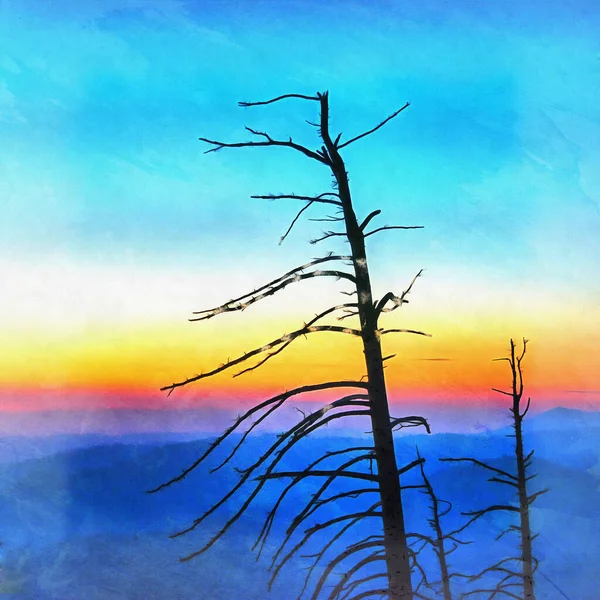 Lonely tree on sunset background Yosemite National Park colorful painting looks like picture, California, USA. — Stockfoto