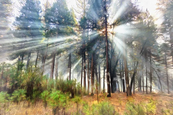 Solstrålar i skogen färgglada målning ser ut som bild, Yosemite National Park, Kalifornien, USA. — Stockfoto