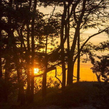 Baltık Denizi üzerinde güzel bir gün batımı, Litvanya.