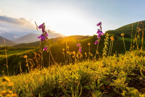 Beautiful mountain landscape at Caucasus mountains with grass and sunset sun. — Stock Photo, Image