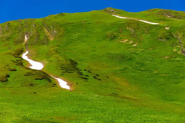 Piękny krajobraz górski z zieloną trawą na Kaukazie. — Zdjęcie stockowe