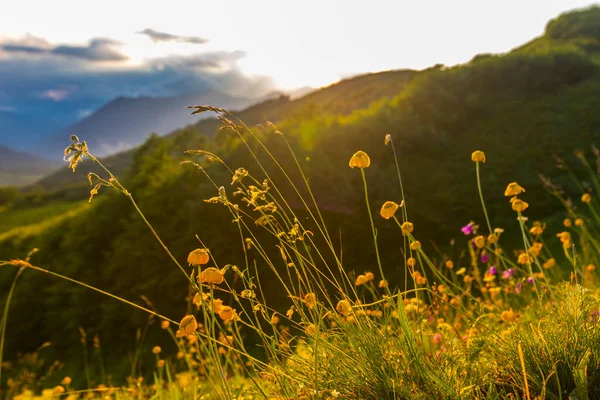 Beautiful mountain landscape at Caucasus mountains with grass and sunset sun. — Stock Photo, Image