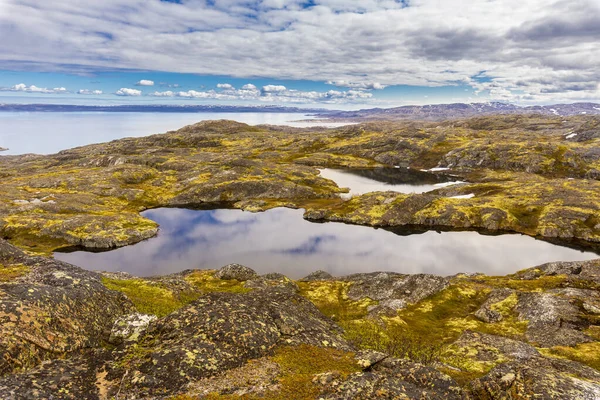 巴伦支海沿岸美丽的北极夏季风景. — 图库照片