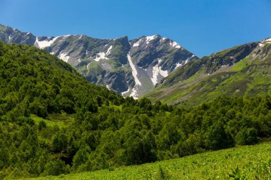 Kafkasya dağlarındaki ormanlı güzel dağ manzarası.