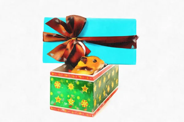 Cute hamster in a gift box lovely portrait — Stock Photo, Image