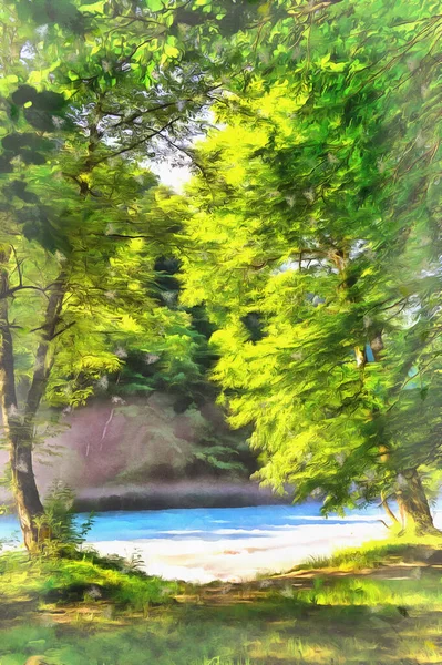 Прекрасний сонячний ранок в лісі з річкою — стокове фото