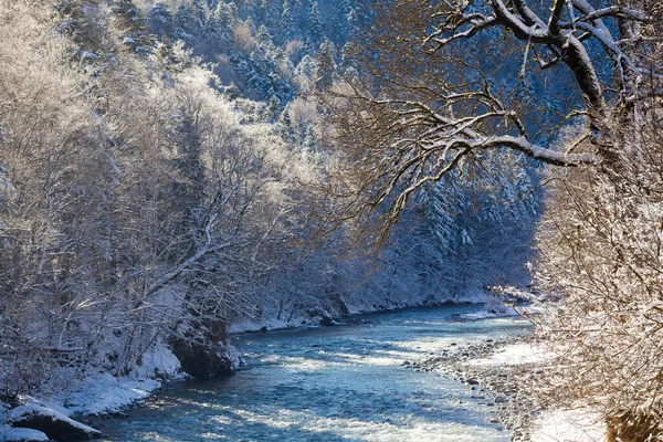Hermoso paisaje de invierno soleado en las montañas del Cáucaso. Imágenes De Stock Sin Royalties Gratis
