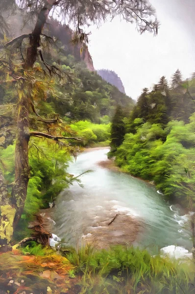 Hermosa escena con río de montaña a la hora de verano. —  Fotos de Stock