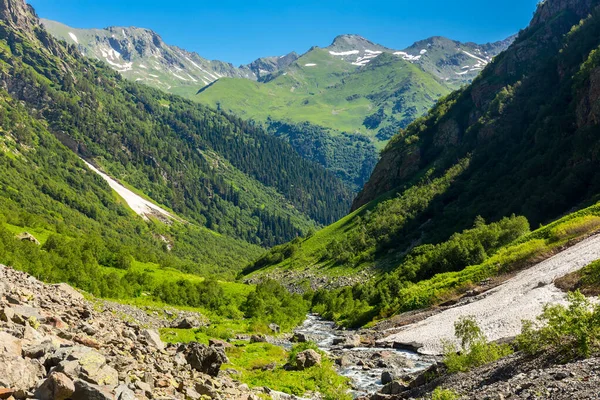 Hermoso paisaje de montaña wiyh hierba verde en las montañas del Cáucaso. —  Fotos de Stock