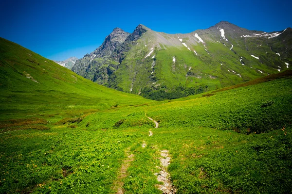 Hermoso paisaje de montaña wiyh hierba verde en las montañas del Cáucaso. —  Fotos de Stock