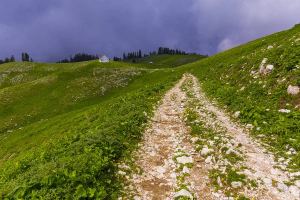 Paisaje de montaña en las montañas del Cáucaso con pista de carretera —  Fotos de Stock