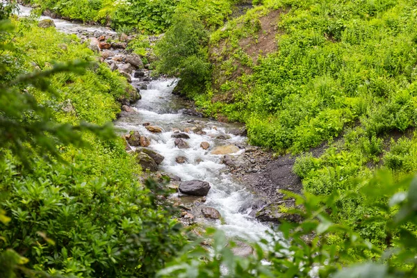 Belo riacho rochoso na floresta das montanhas do Cáucaso — Fotografia de Stock