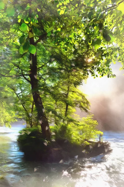 Piękny słoneczny poranek w lesie z rzeką — Zdjęcie stockowe