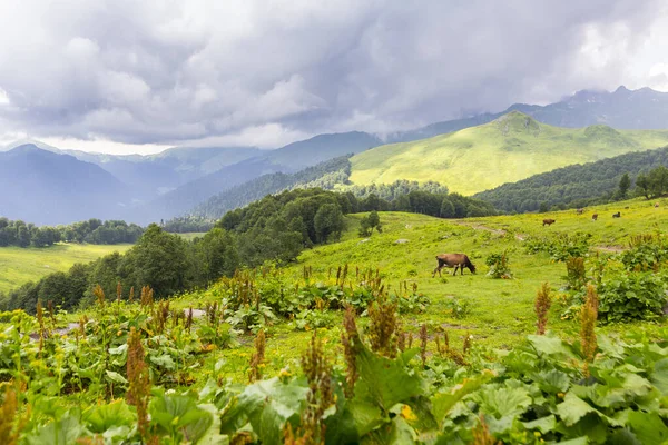 Красивый горный пейзаж с облаками в горах Кавказа — стоковое фото