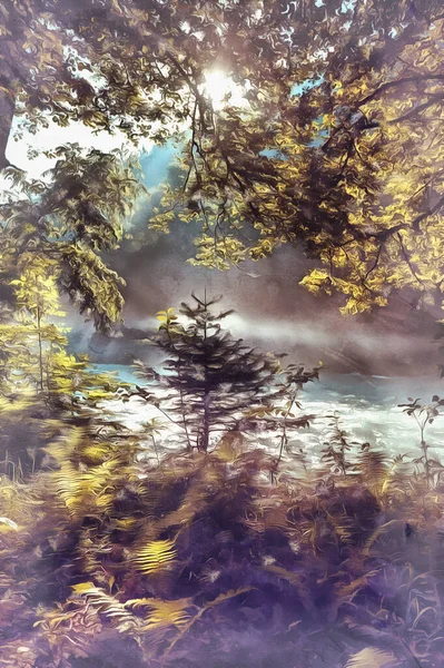 Bela manhã ensolarada na floresta com o rio — Fotografia de Stock