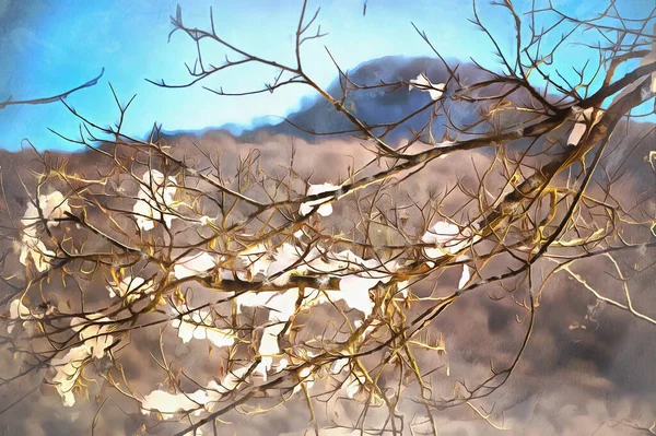 Gałęzie drzew ze śniegiem w słoneczny dzień na tle krajobrazu górskiego — Zdjęcie stockowe