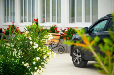 Bahçedeki güzel çiçekler yeşil çiçek desenleri..