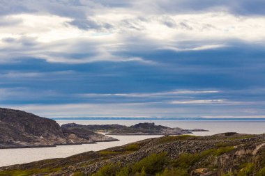 Barents sahil şeridinde güzel kutup yaz manzarası.