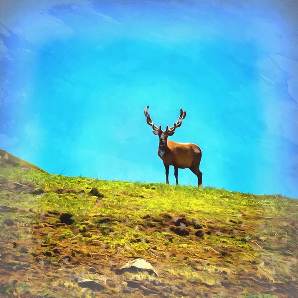 Kafkasya dağlarında vahşi geyiklerle güzel dağ manzarası — Stok fotoğraf