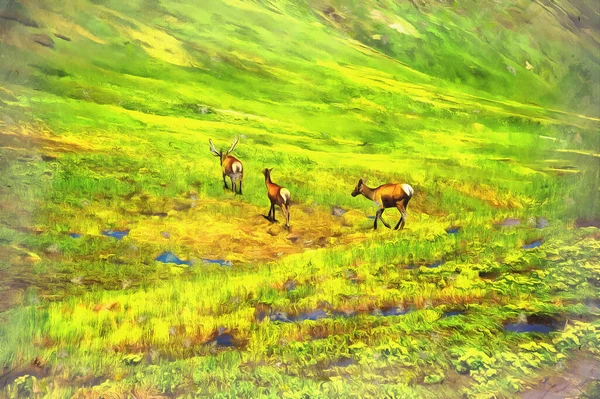 Όμορφο ορεινό τοπίο με άγρια ελάφια στα βουνά του Καυκάσου — Φωτογραφία Αρχείου