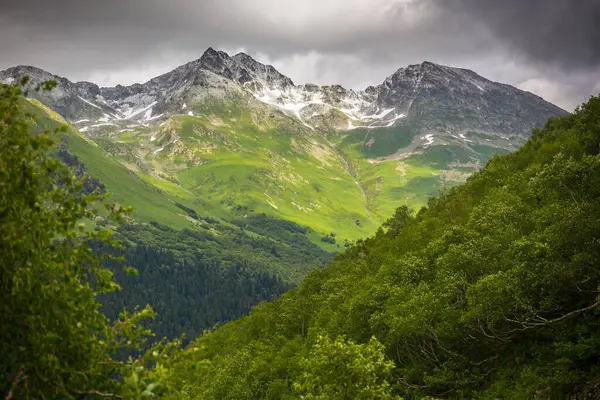 Hermoso paisaje de montaña con bosque en las montañas del Cáucaso. —  Fotos de Stock