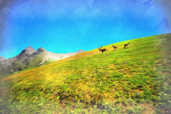 Beautiful mountain landscape with wild deers at Caucasus mountains — Stock Photo, Image