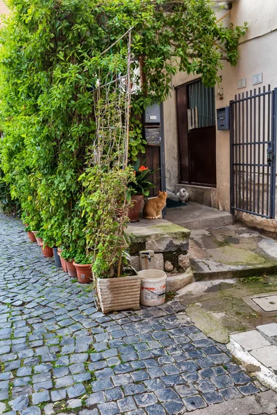 Straße mit Blick auf die Altstadt, Vintage House, Terracina, Latium Italien. — Stockfoto