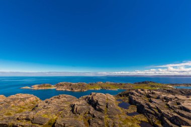 Barents sahil şeridinde güzel kutup yaz manzarası.