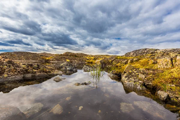 Linda paisagem de verão ártico na costa do mar de Barents. — Fotografia de Stock