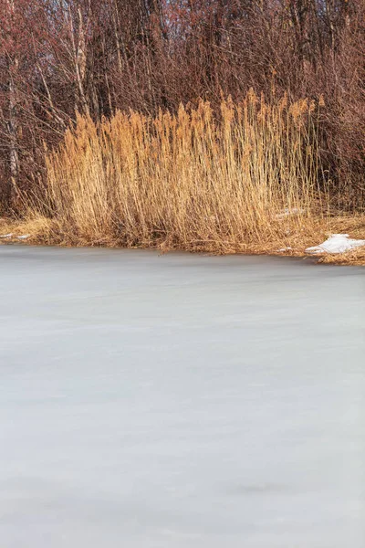 Прекрасный зимний пейзаж с ледяной рекой, деревьями и сухой травой. — стоковое фото