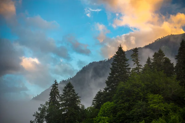 Prachtig berglandschap met groen bos en wolken — Stockfoto