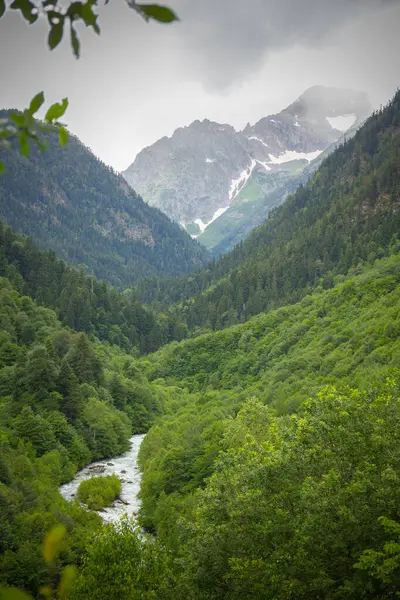 Bela paisagem montanhosa com rio nas montanhas do Cáucaso. — Fotografia de Stock