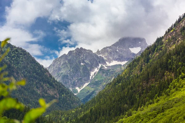 Hermoso paisaje de montaña con bosque y nubes en las montañas del Cáucaso. —  Fotos de Stock