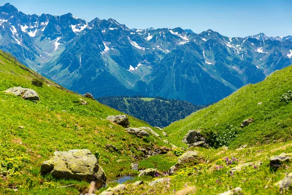 Hermoso paisaje de montaña con prado en las montañas del Cáucaso —  Fotos de Stock