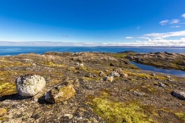 Barents sahil şeridinde güzel kutup yaz manzarası.