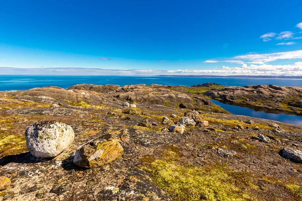 Prachtig arctisch zomerlandschap aan de Barentszzee. — Stockfoto