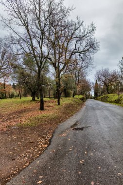 Kırsal sonbahar asfalt yol manzarası, Lazio, İtalya.