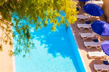 Yeşil ağaçlı ve şezlonglu açık havuz..