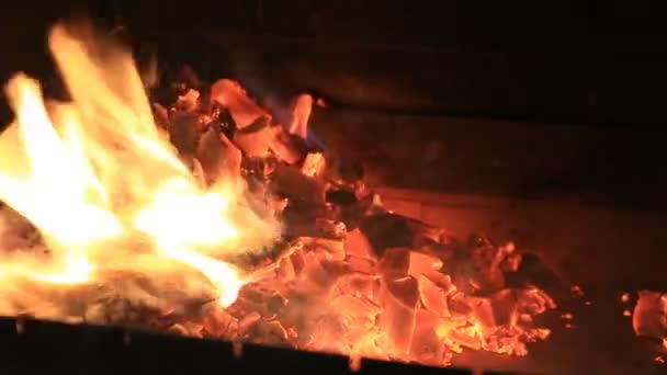 Vista sobre chimenea con leña y carbones — Vídeos de Stock