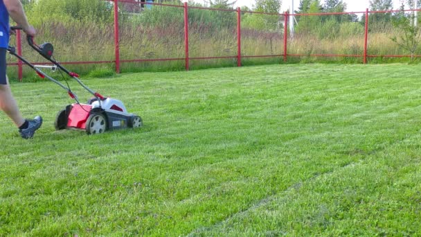 Tondeuse à gazon homme travaillant avec tondeuse à la cour — Video