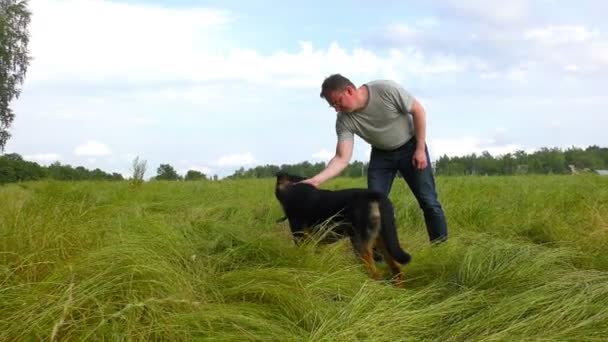 Człowiek ze swoim psem na zielonym polu letnim trawy. — Wideo stockowe