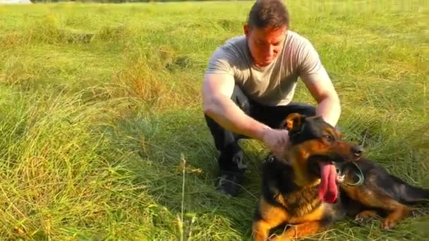 Man with his dog at green grass summer field. — Stock Video