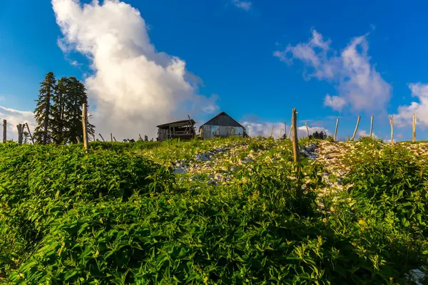 Paisaje de montaña en las montañas del Cáucaso con cabaña vieja — Foto de Stock