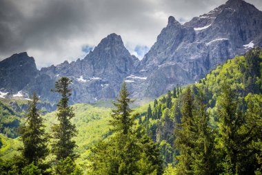 Kafkasya dağlarındaki ormanlı güzel dağ manzarası