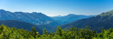 Kafkasya dağlarındaki ormanlı güzel dağ manzarası.