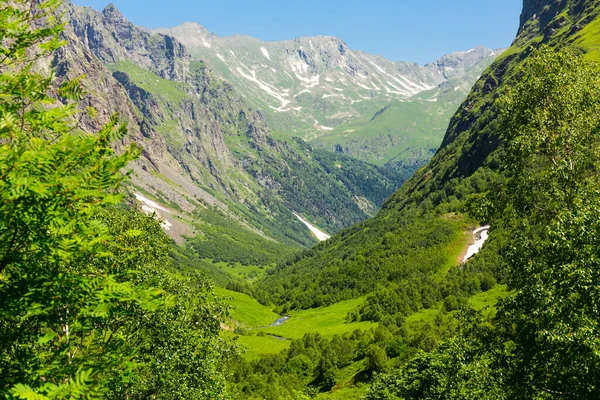 Hermoso paisaje de montaña con bosque en las montañas del Cáucaso. —  Fotos de Stock