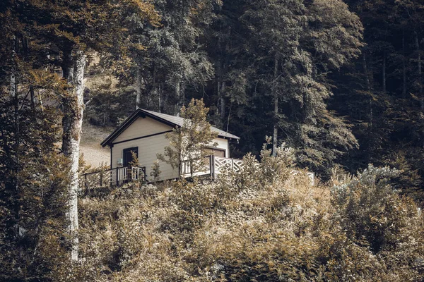 Petite cabane dans la forêt de montagne vue d'été. — Photo