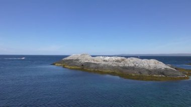 Kaya üzerinde uçan martılara bakın, Barents denizi